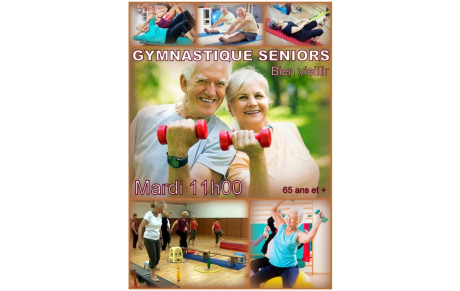 GYM SENIORS bien vieillir 65 ans et +